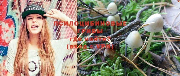 mdpv Елизово