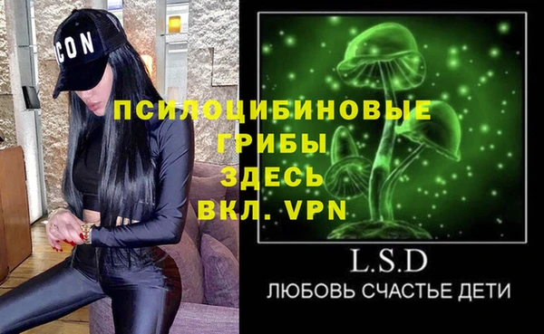 mdpv Елизово