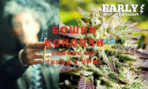 амф Елабуга