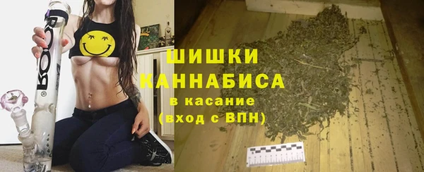амф Елабуга