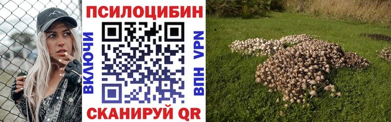 Галлюциногенные грибы Cubensis Ипатово
